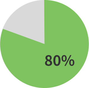 円グラフ80%