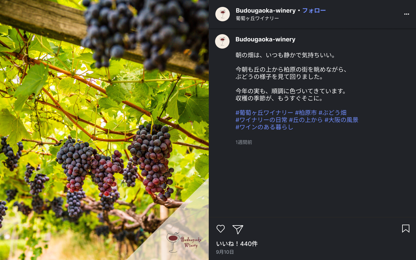 Instagram 日常風景